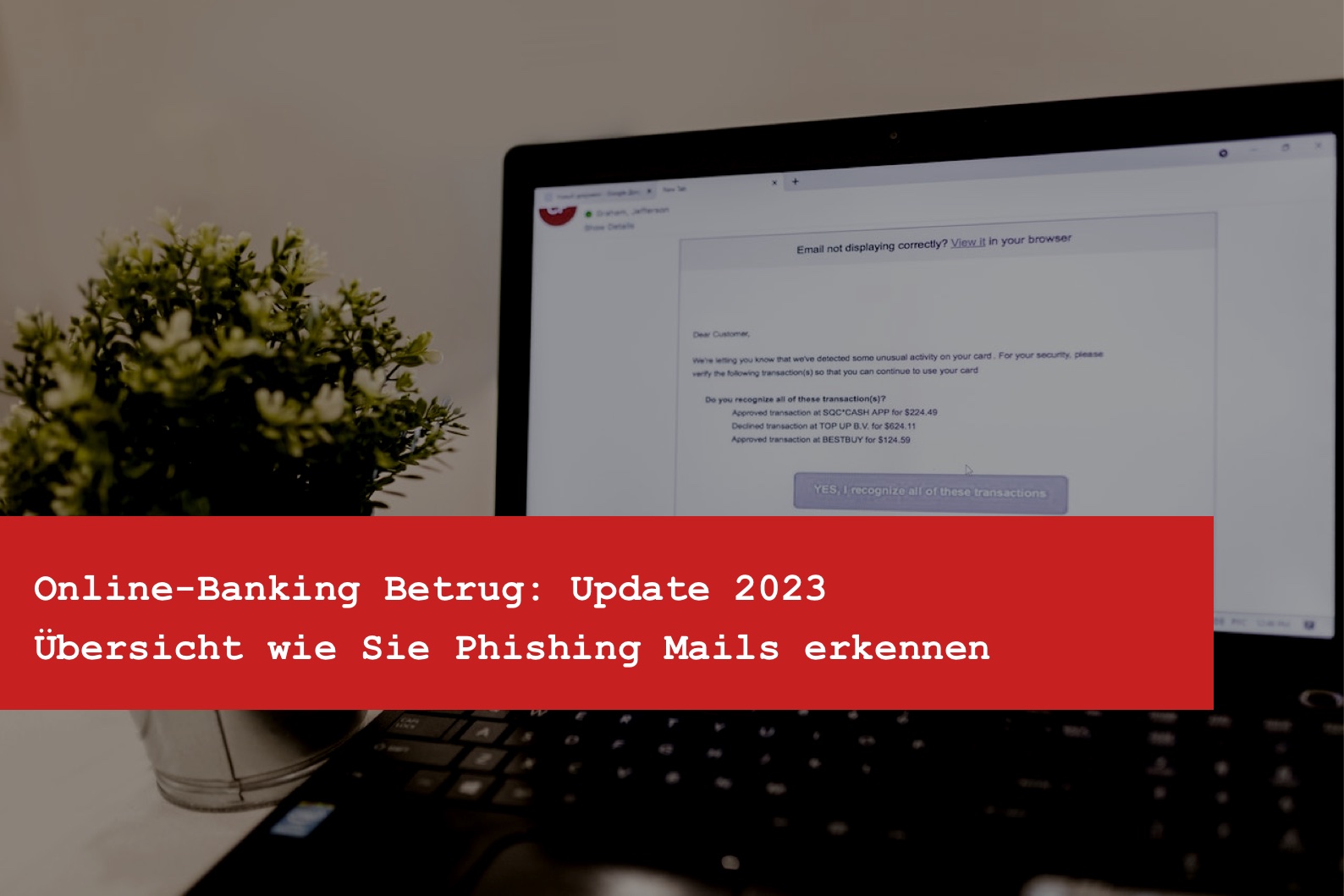 Online-Banking Betrug - Übersicht wie Sie Phishing Mails erkennen - Update 2023