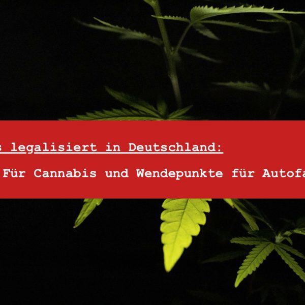 Cannabis legalisiert in Deutschland - THC Autokontrolle und Cannabiskonsum Menge